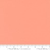 Bella Solids Peach Blossom 9900-297
