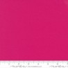 Bella Solids Shocking Pink 9900-223