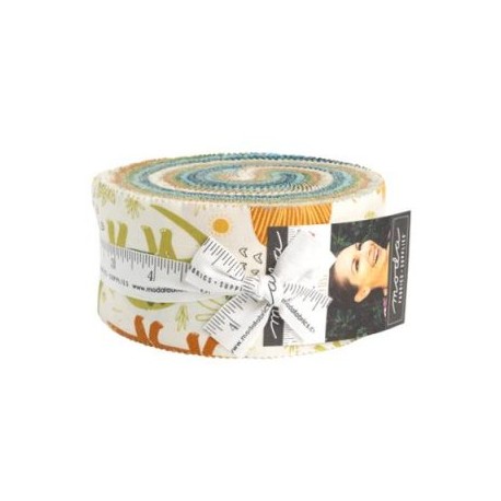 Stomp S. Rear Jelly Roll 20820JR